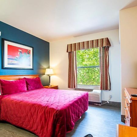Sierra Vista Studio Apartment With Full Kitchen And King Bed Bagian luar foto